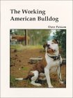 The Working American Bulldog